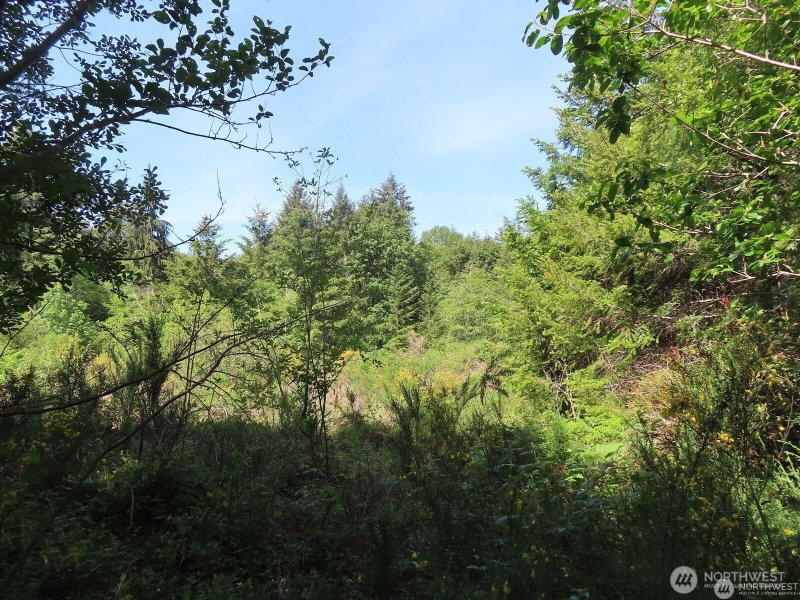 13310 159th Avenue NW photo 1