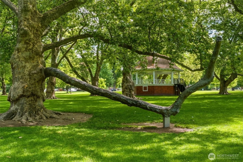 884 Pleasant Street photo 39