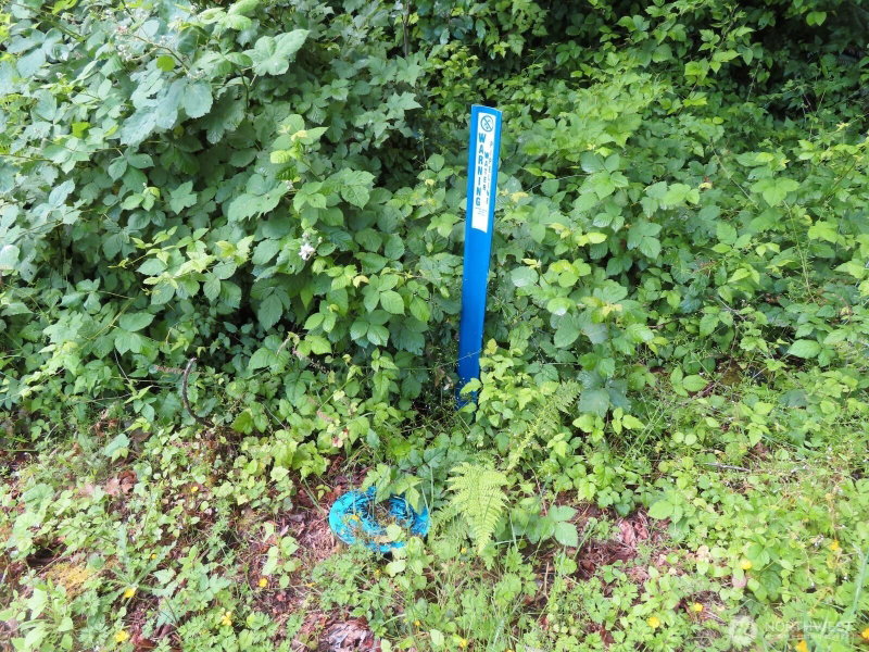 0 xxx Sylvan Way photo 17