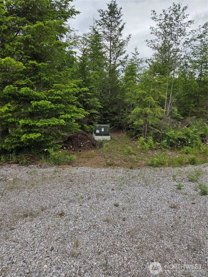 9242 Heady Road photo 2
