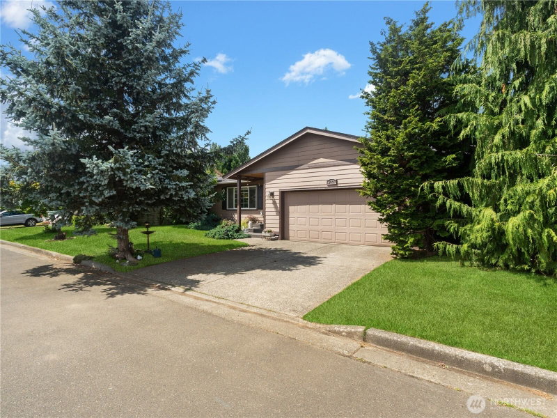 2003 Buttercup Drive photo 30