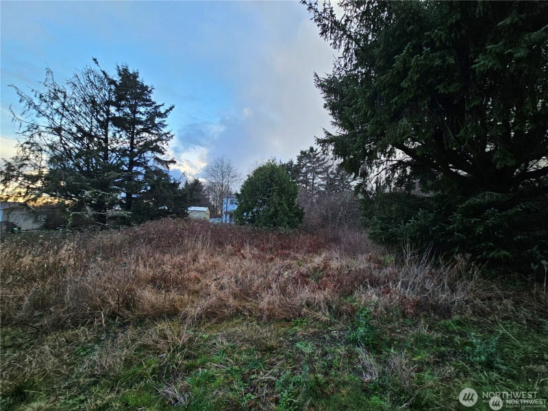 17 N 3rd Street photo 6
