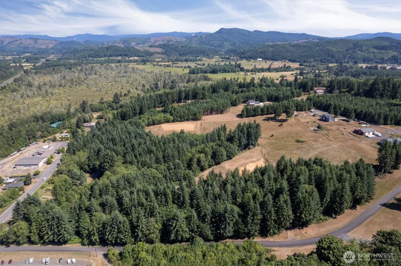 15 Forest Heights photo 12