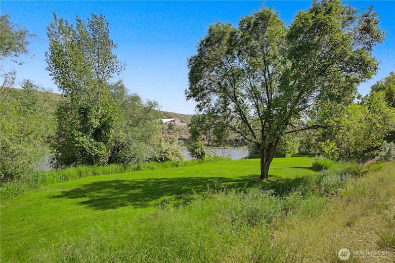 873 1st Avenue S photo 32