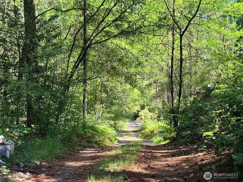 5445 SW County Line Road photo 2