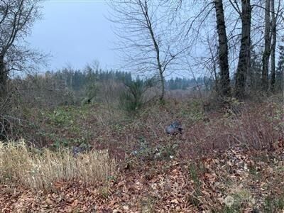 0 Lot 4 240th Street SE photo 1