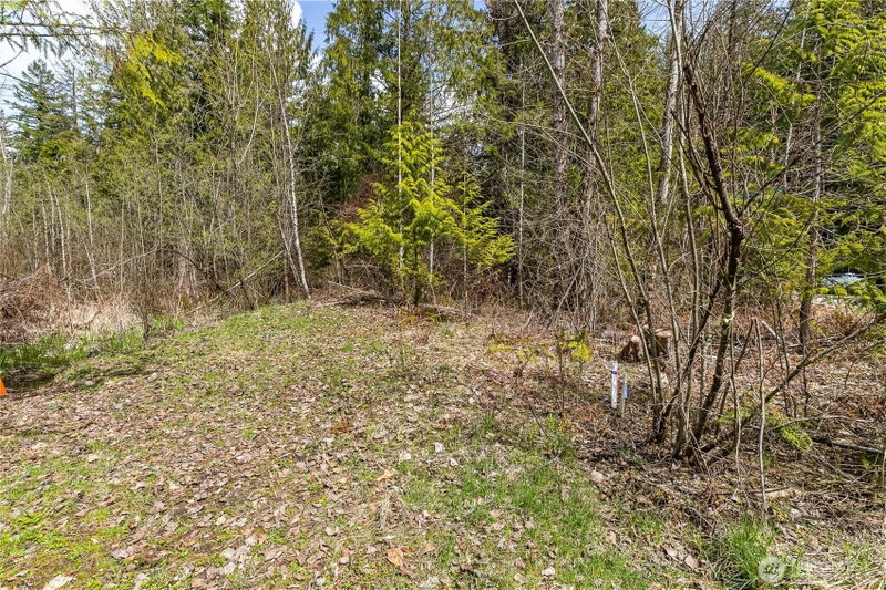 17045 Iceberg Road photo 2