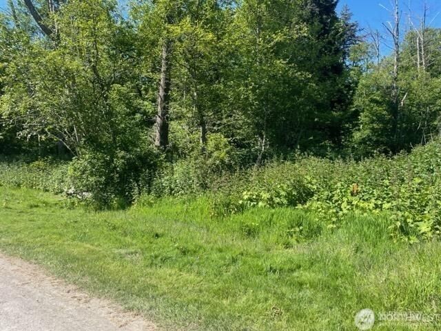 90 -F Tulalip Way photo 1