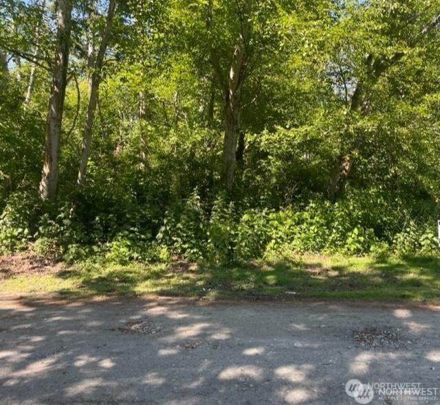 90 -F Tulalip Way photo 2