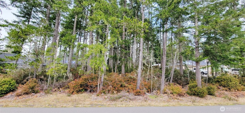 350 E Vine Maple Lane photo 1