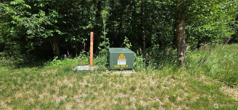 553 Upper Naselle Road photo 40