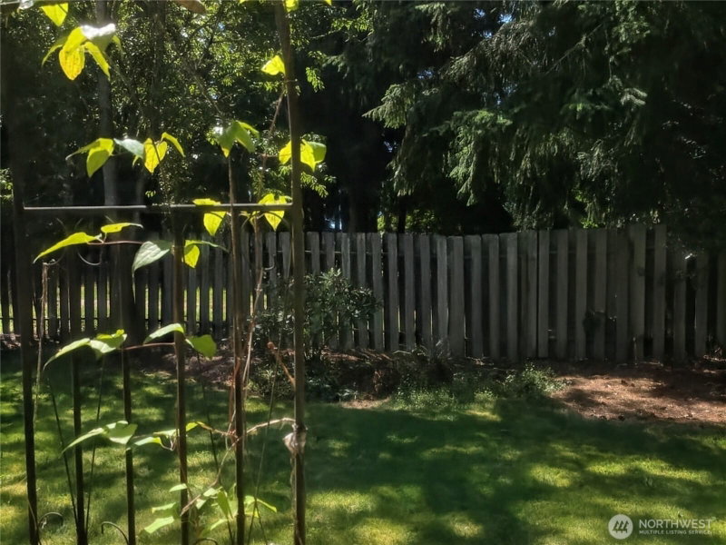 114 Jalyn Street photo 11