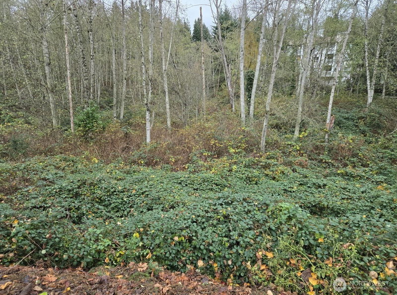 8201 5th Avenue W photo 1