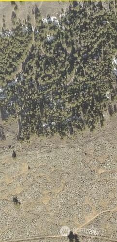 6 xx Chipmunk Trail photo 2