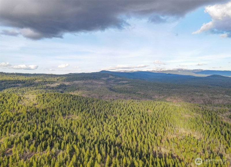 0 Lot 15 Greyback Mt Road photo 2