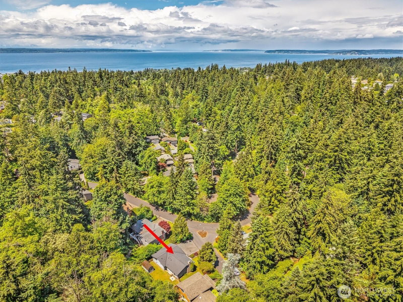 8830 Shell Place photo 39