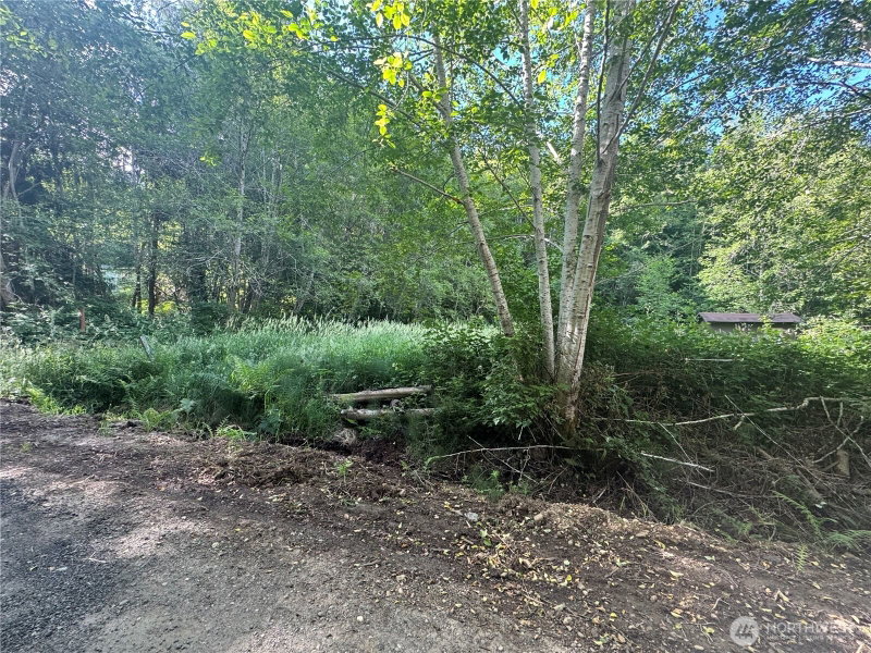 190 W Thunderbird Drive photo 2