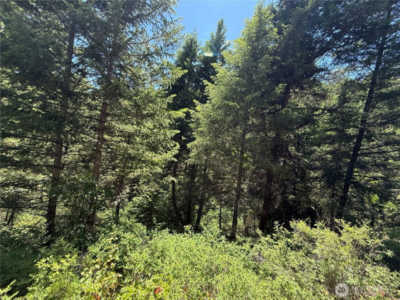0 TBD Toroda Creek Road photo 2