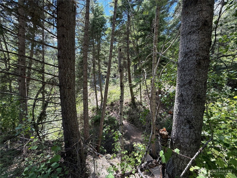 0 TBD Toroda Creek Road photo 23