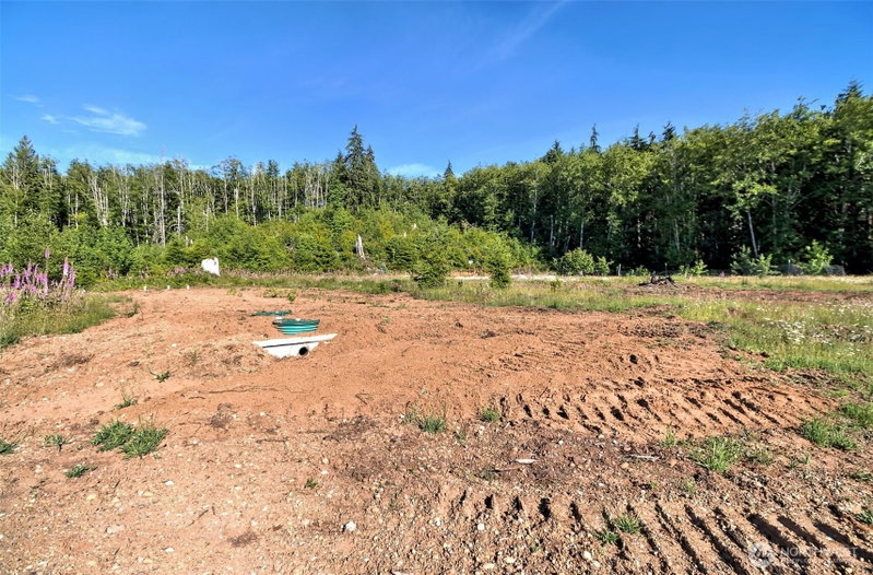 434 W Bulb Farm Road photo 24