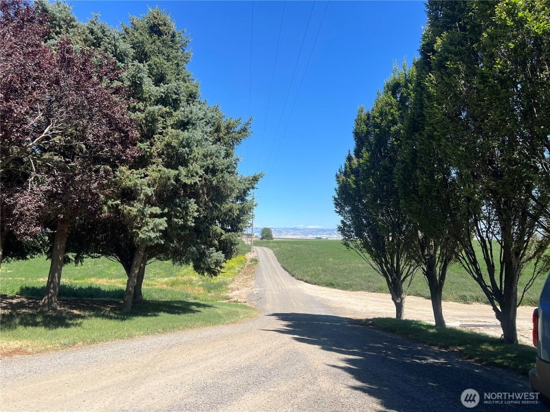 2784 McDonald Road photo 31