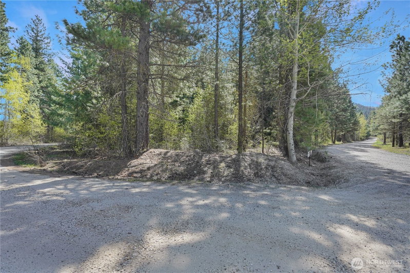 17265 Lake Julius Road photo 2