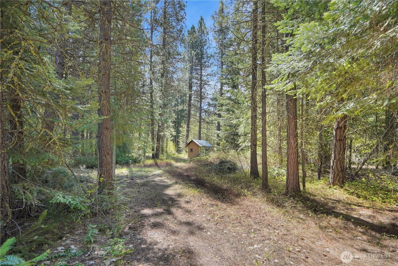 17265 Lake Julius Road photo 8