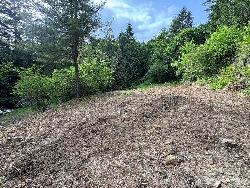 5532 LEWIS RIVER ROAD photo 10