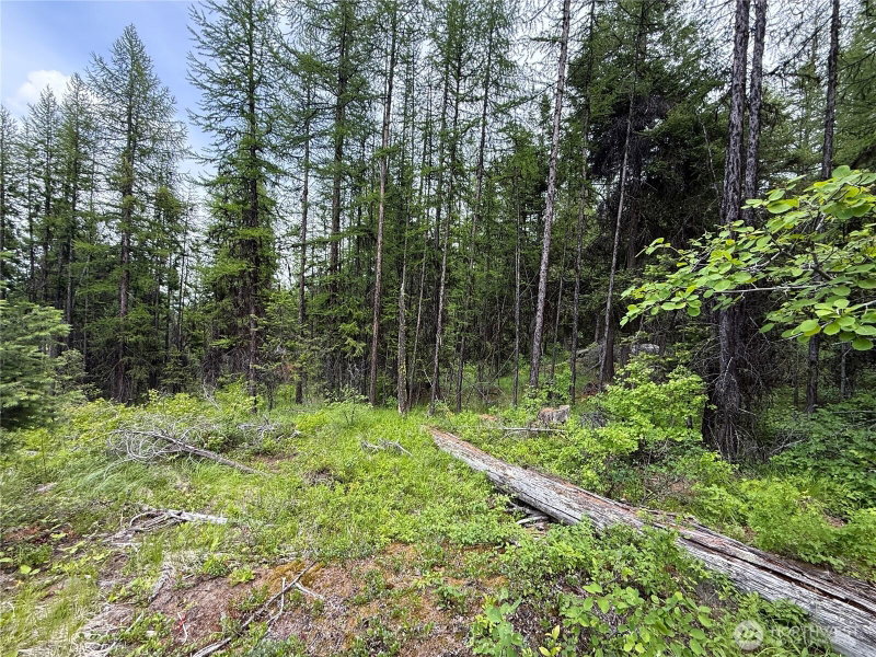 0 TBD Mule Deer Road photo 2
