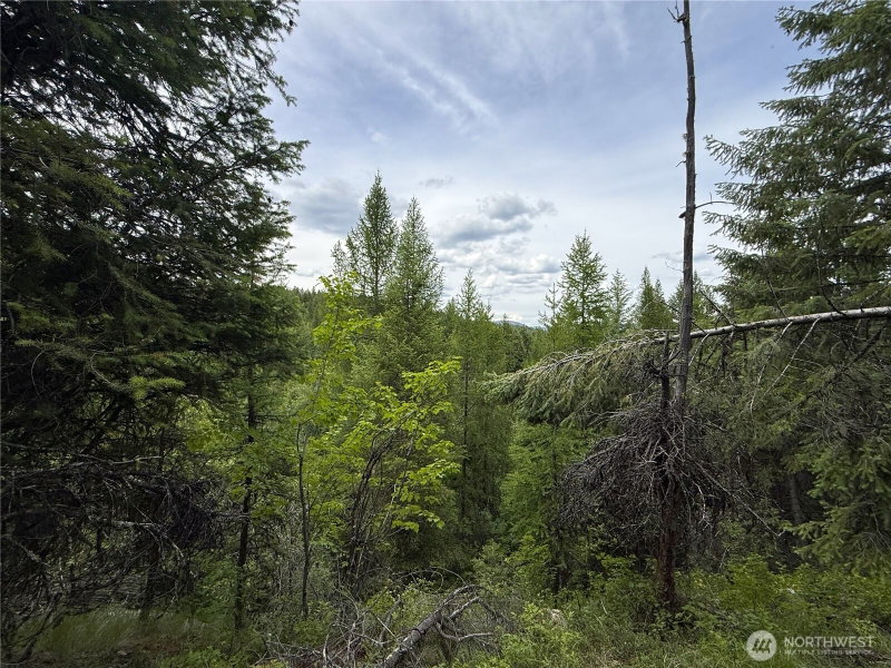 0 TBD Mule Deer Road photo 11