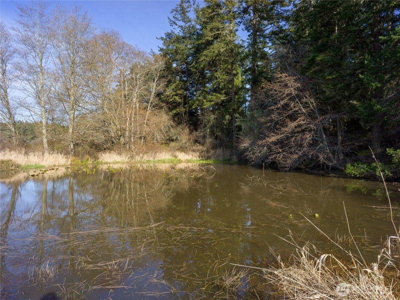 4722 Mud Bay Road photo 22