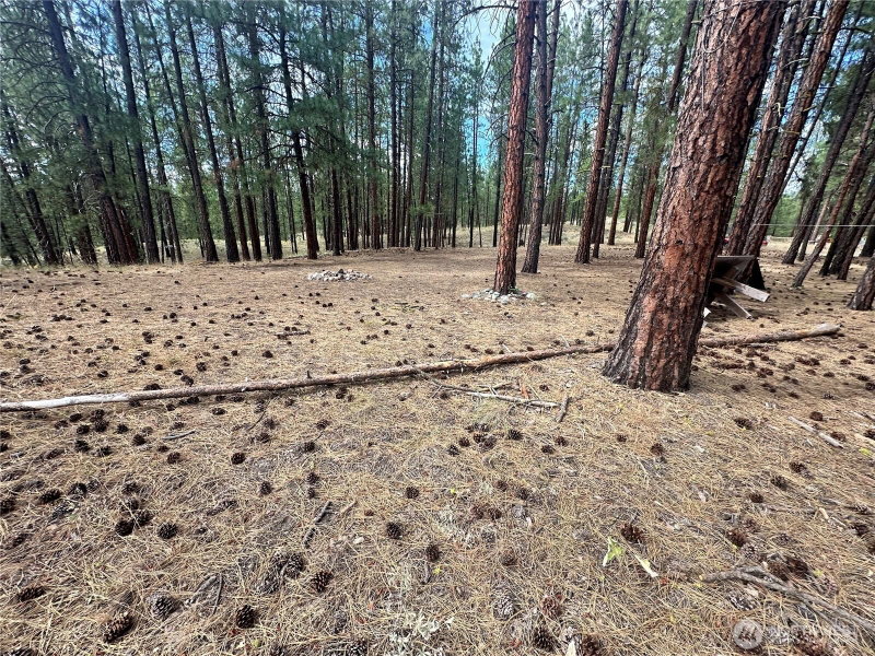 67 Larkspur Drive photo 2
