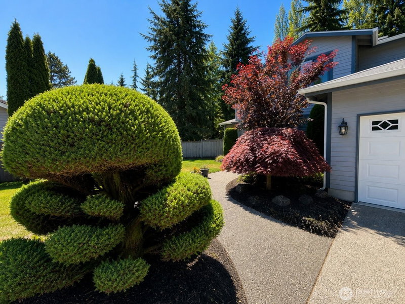 9829 59th Street Ct W photo 2