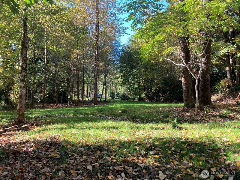 10909 State Route 530 photo 2