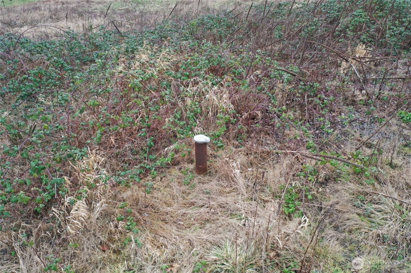 4 Hagen Road photo 21