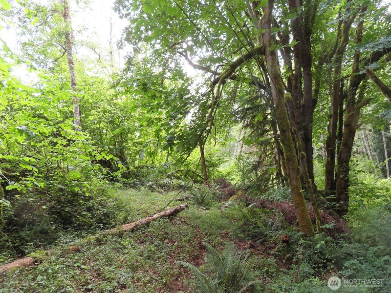 0 Lot 11 Valley View Drive photo 2