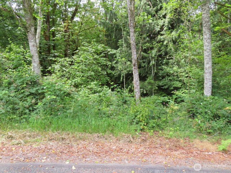 0 Lot 11 Valley View Drive photo 16