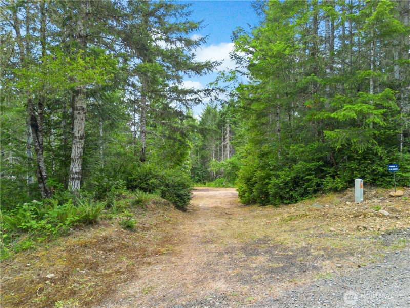 0 Rustic Ridge Drive photo 9