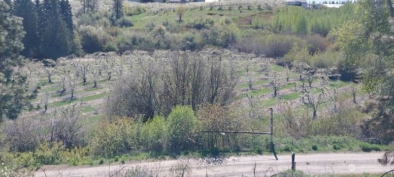8010 Green Rd photo 15