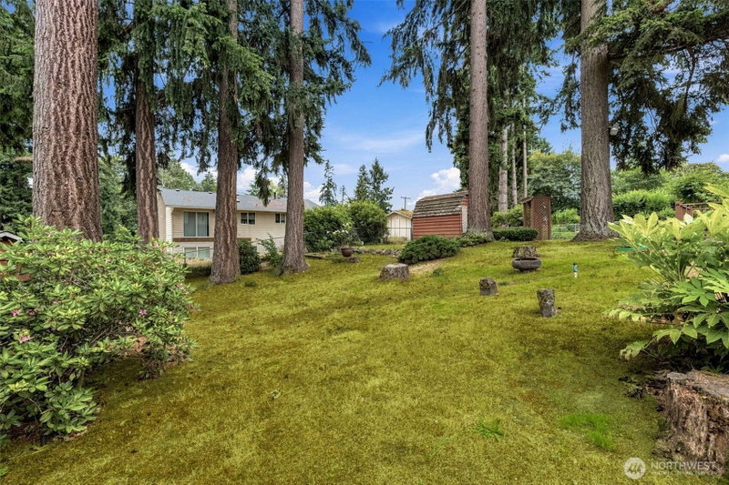 10309 64th Avenue Ct E photo 25