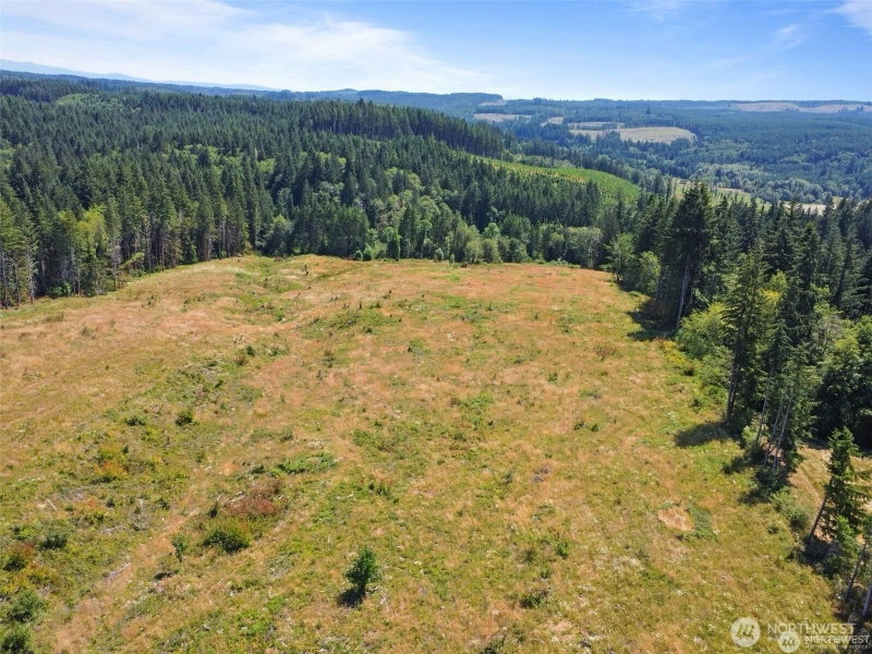 607 Brown Road photo 40