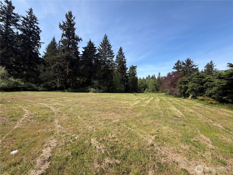 11235 Rhody Drive photo 2