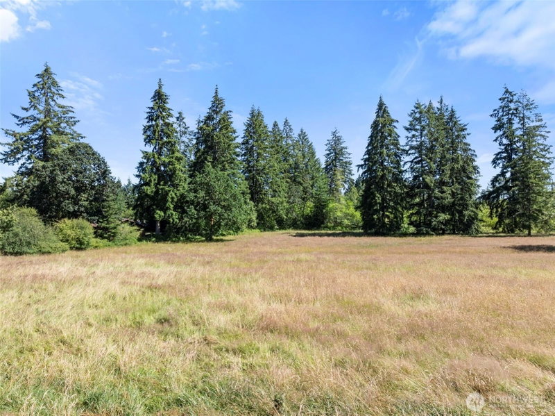 217 Drews Prairie Road photo 38