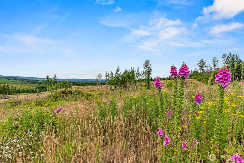 1 Lot 1 Parker Road photo 6
