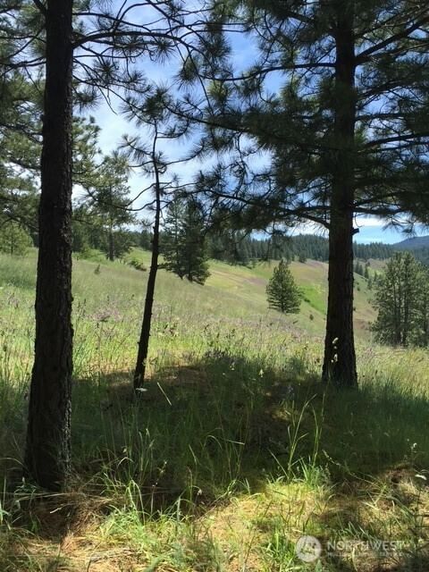 0 bare land photo 2