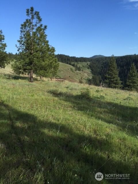 0 bare land photo 1
