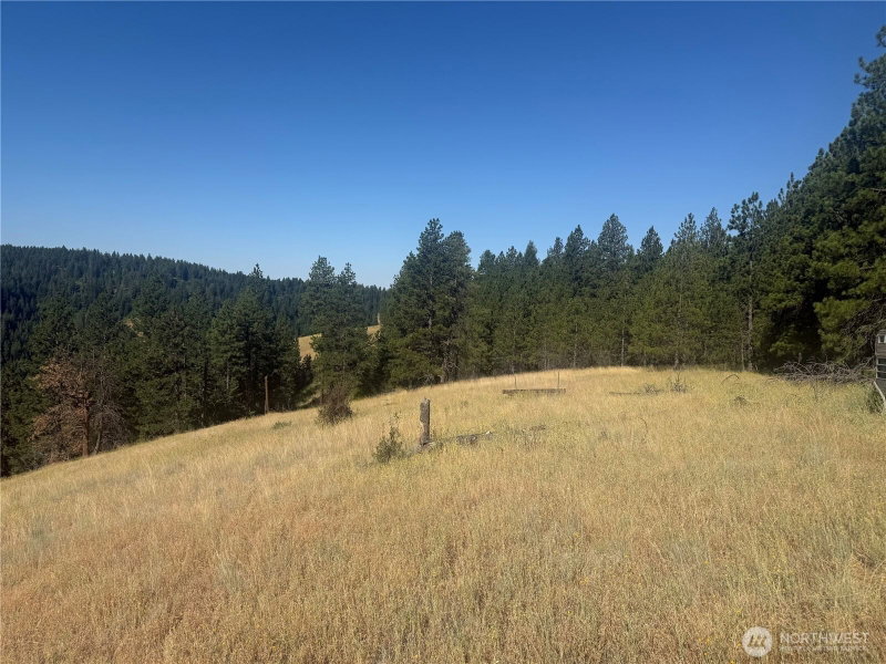 0 bare land photo 26