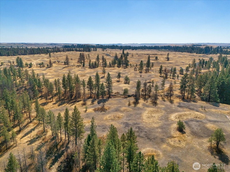36377 S Bootstrap Ln photo 10