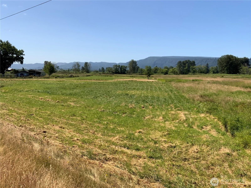 411 W Birnie Slough Road photo 23