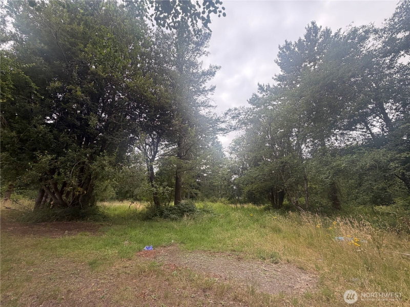 5842 137th Avenue SW photo 17